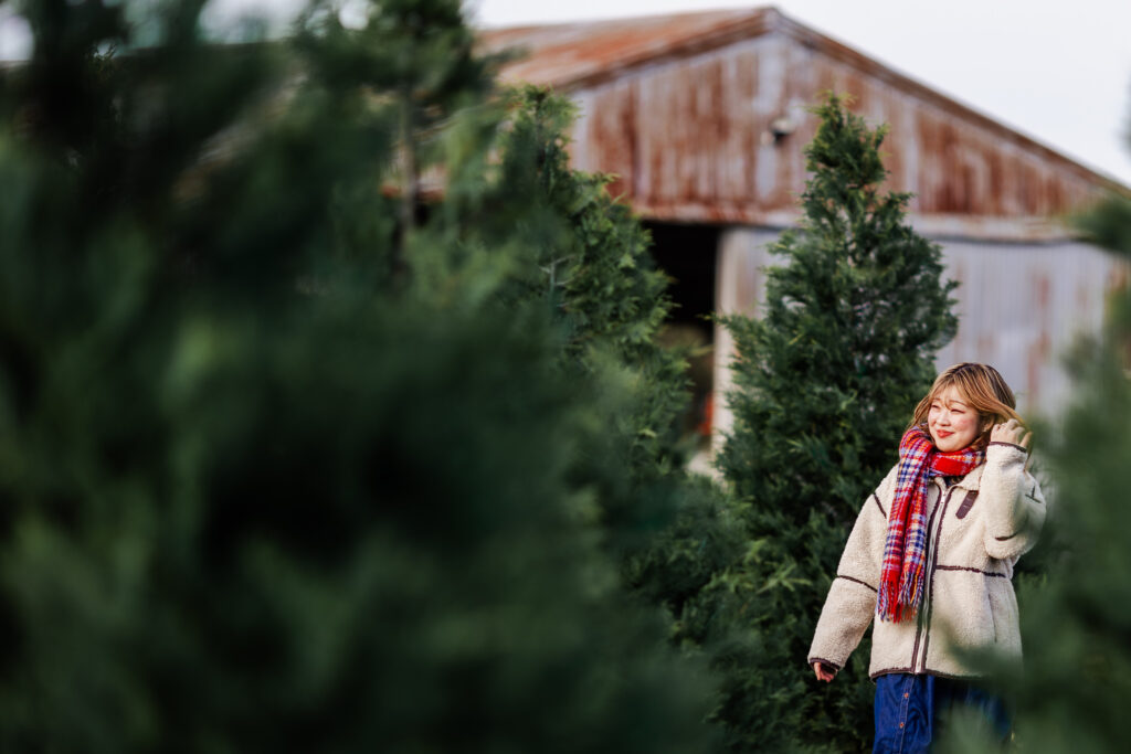 old christmas tree farm spring tx photos