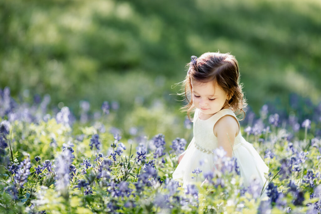 Toddler exploring bluebonnets during a spring mini session in Houston