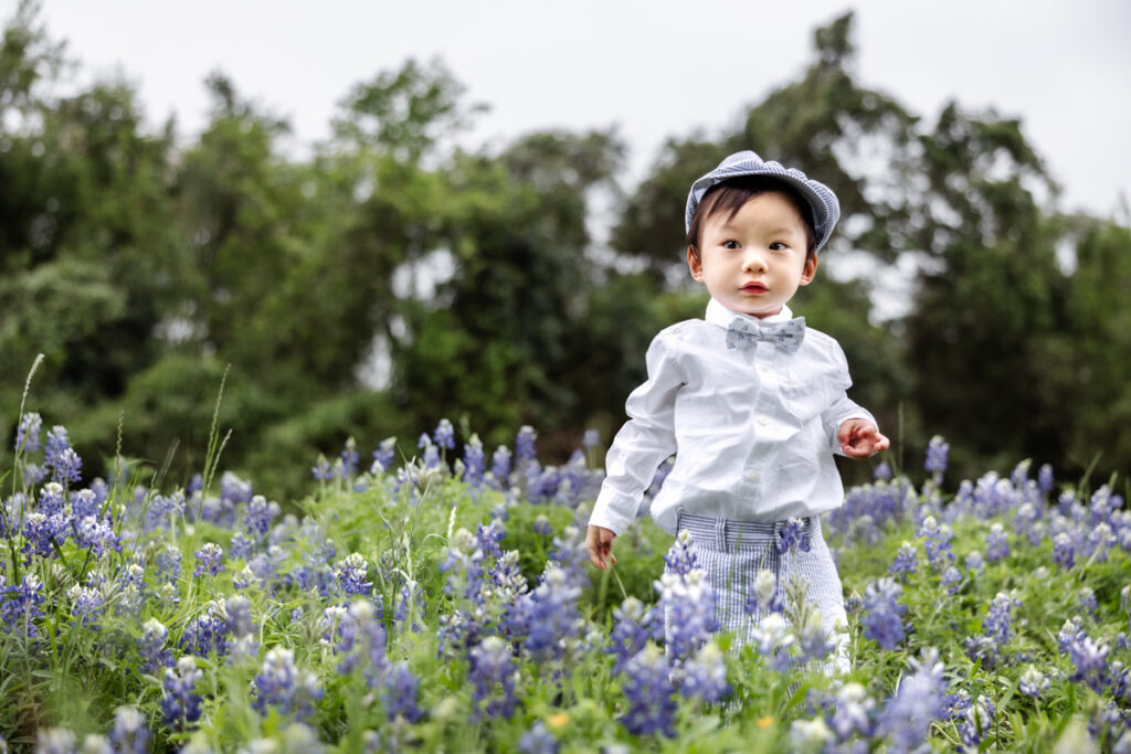 Little boy walking in a bluebonnet field in Houston